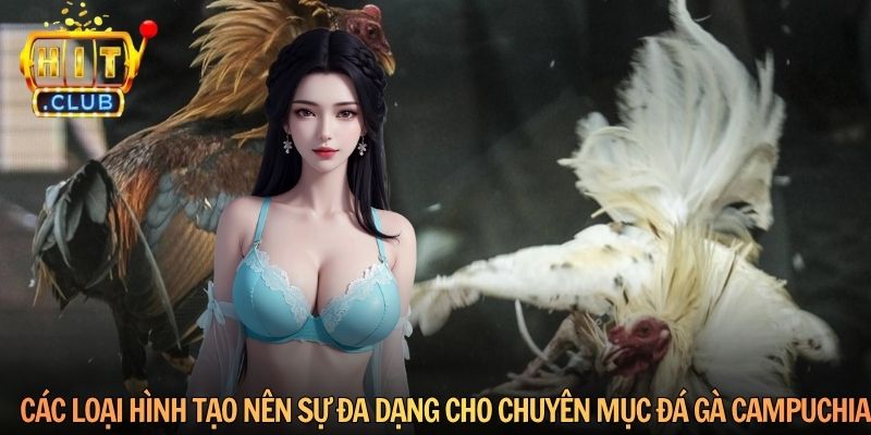 Các loại hình tạo nên sự đa dạng cho chuyên mục đá gà Campuchia