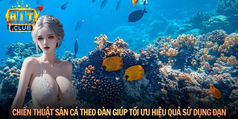 Chiến thuật săn cá theo đàn giúp tối ưu hiệu quả sử dụng đạn