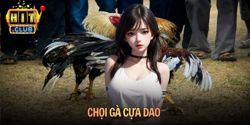 Chọi Gà Cựa Dao Hitclub - Sức Nóng Từ Những Trận Đấu Đỉnh Cao