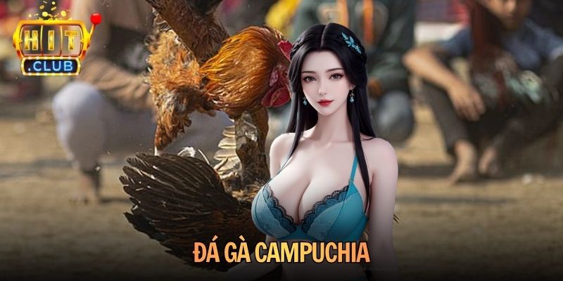 Đá Gà Campuchia Hitclub Những Trận Thư Hùng Đỉnh Cao