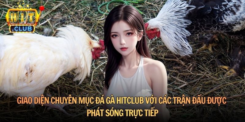 Giao diện chuyên mục đá gà Hitclub với các trận đấu được phát sóng trực tiếp