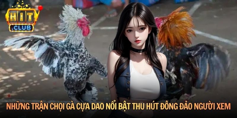 Những trận chọi gà cựa dao nổi bật thu hút đông đảo người xem