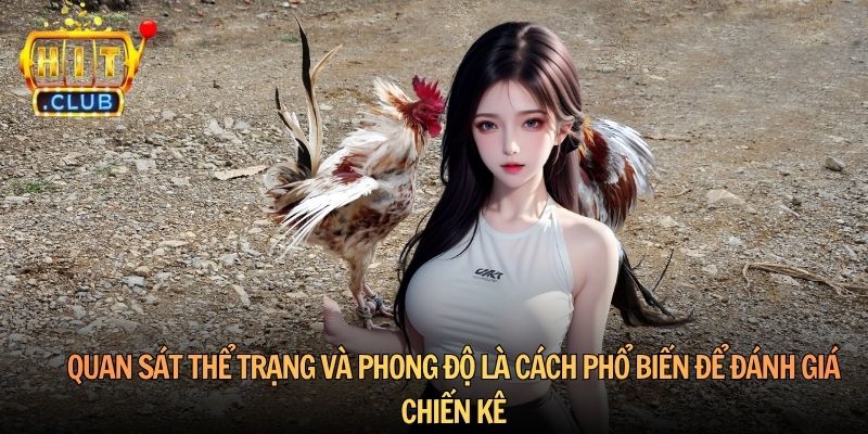 Quan sát thể trạng và phong độ là cách phổ biến để đánh giá chiến kê